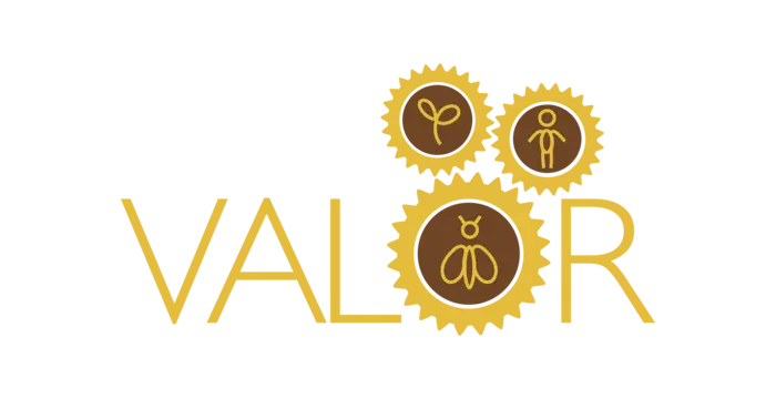 VALOR project logo