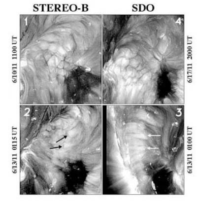 Coronal Cells as Viewed by NASA's STEREO-B and SDO Spacecraft