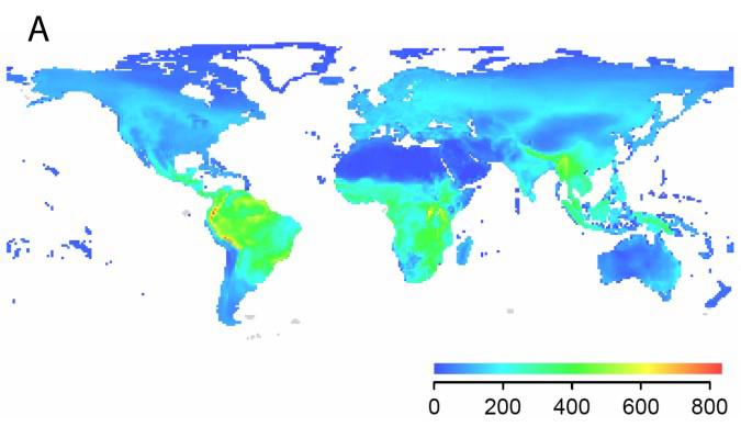 Detailed Global Data on the Distribution of Birds