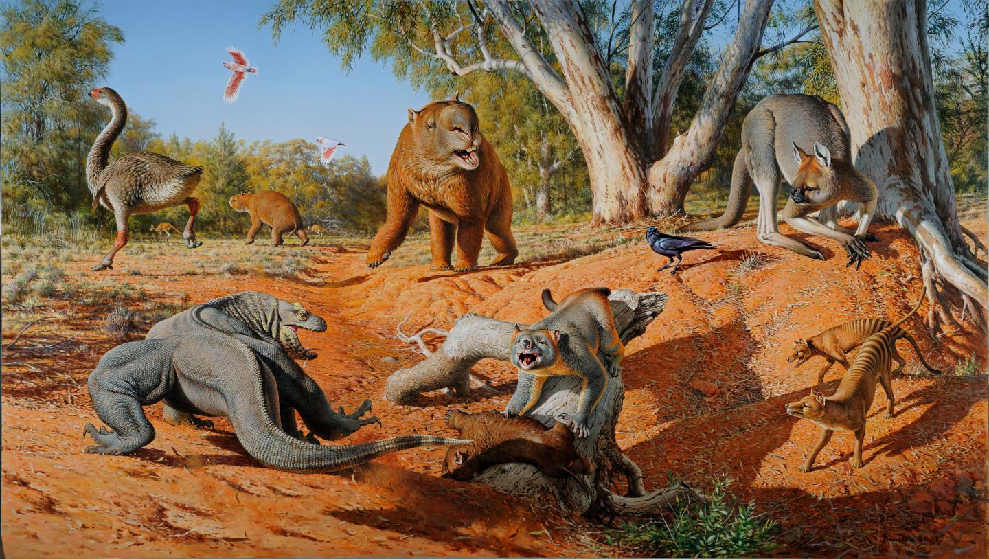 Australian Megafauna
