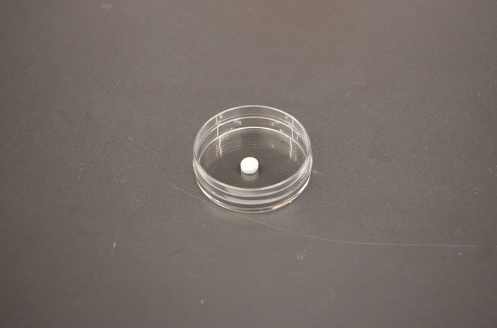 Sublingual Vaccine Tablet