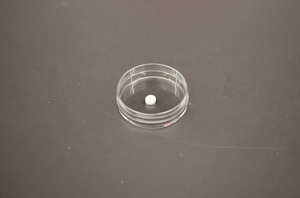 The pill-based vaccine prevents urinary tract i

 | Tech Reddy