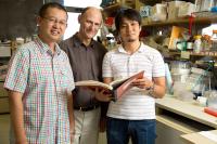 Salk Scientists Pinpoint Key Player in Parkinson's Disease Neuron Loss (2 of 2)