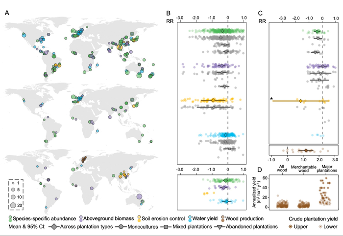 Assessment of plantations compared to natural forests