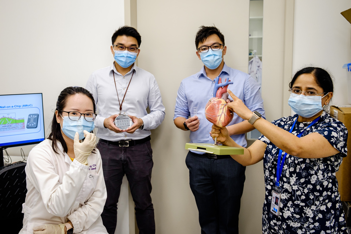 NTU and TTSH scientists develop 3D model of human arterial wall