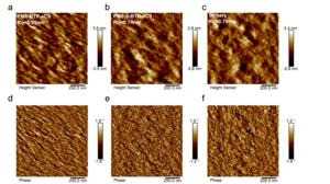 Surface topography of binary and ternary blend films.