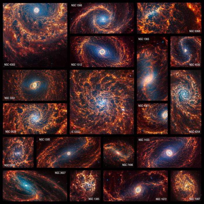 The James Webb Space Telescope observed 19 nearby face-on spiral galaxies in near- and mid-infrared light