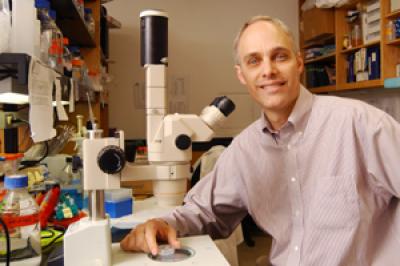 Dr. David Mangelsdorf