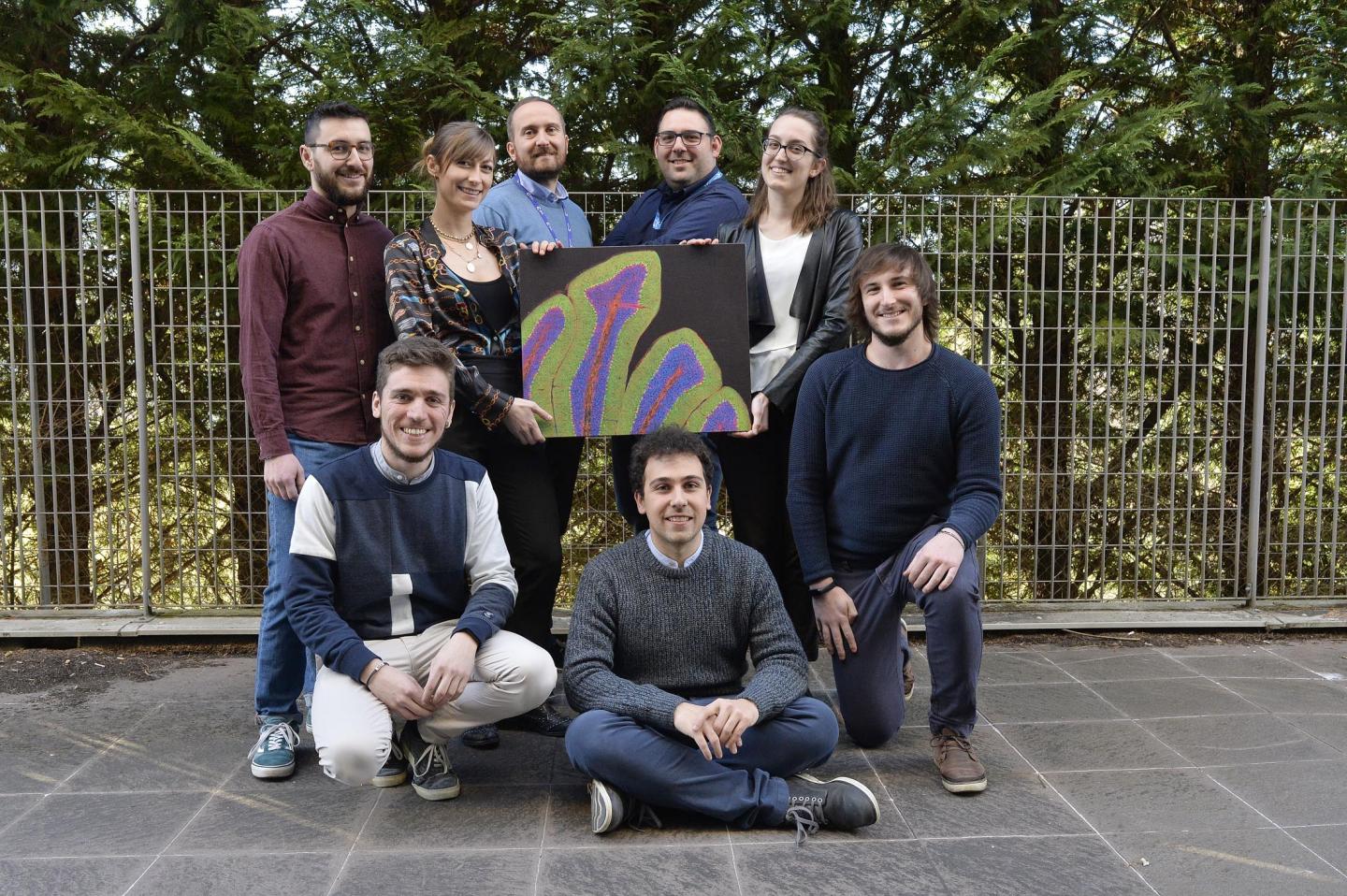 The Research Team at University of Trento (2 of 2)