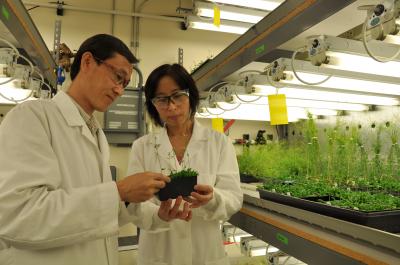 Shengben Li and Xuemei Chen, University of California - Riverside