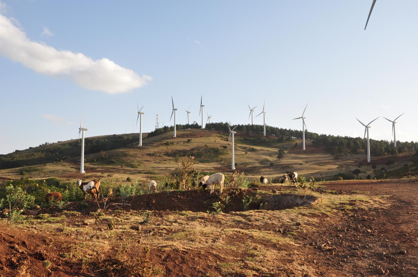 Kenyan Wind Farm