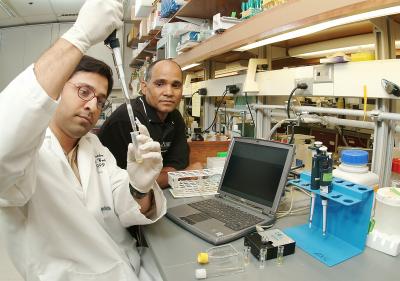 Pratik Banerjee and Arun Bhunia, Purdue University