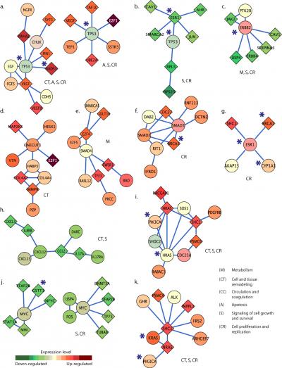 Subnetwork Enriched for the Hallmarks of Cancer