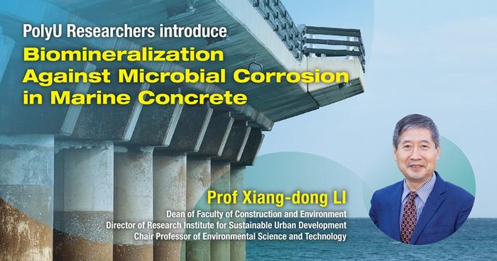 PolyU researchers introduce biomineralisation as a sustainable strategy against microbial corrosion in marine concrete
