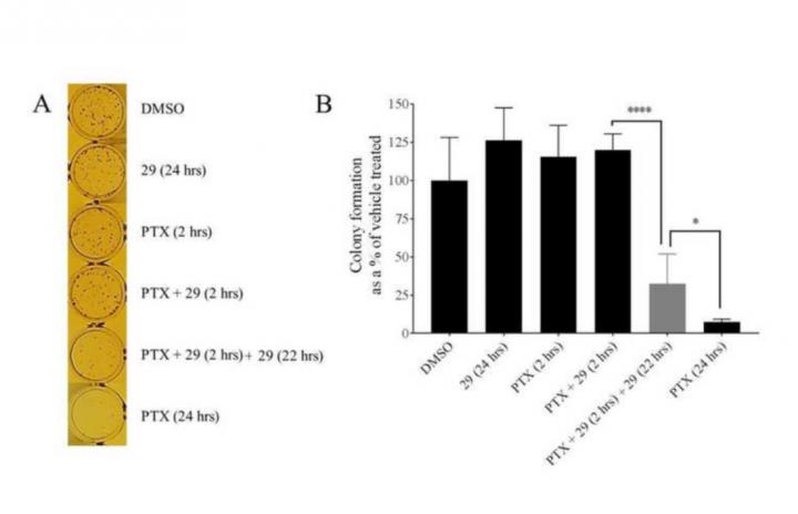 Increased Chemotherapeutic Retention in Multidrug Resistant Cancer Cells