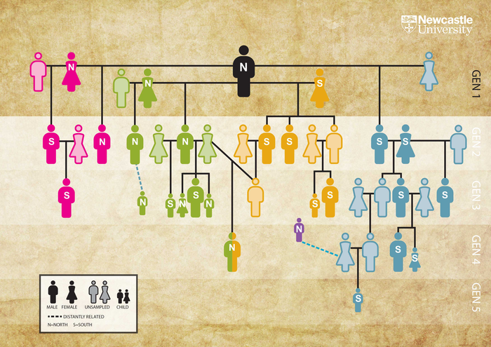 Family tree graphic