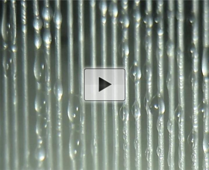 Harvesting Water from Fog with Harps