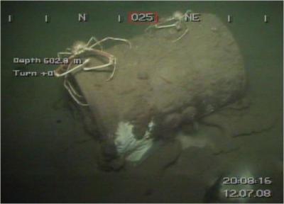Unexploded Ordinance in the Gulf of Mexico
