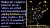 Light Pollution Infographic