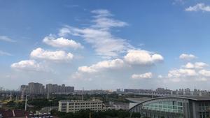 Shallow cumulus clouds