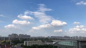 Shallow cumulus clouds