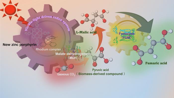 Advanced artificial photosynthesis catalyst u