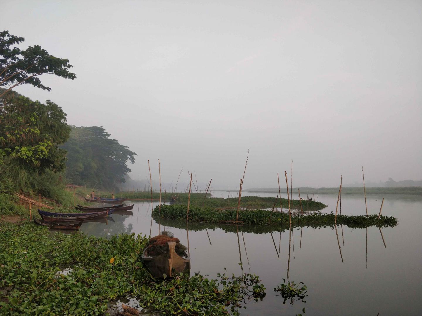 Ayeyawady River Delta