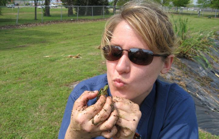 Red-Eared Slider Turtle