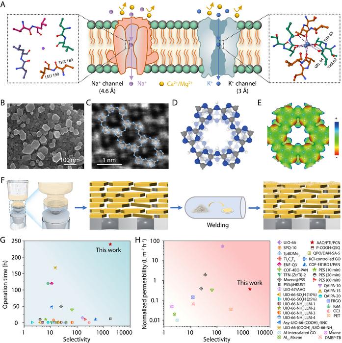 Bioinspired construction of PTIPCN composite membrane for LiMg separation