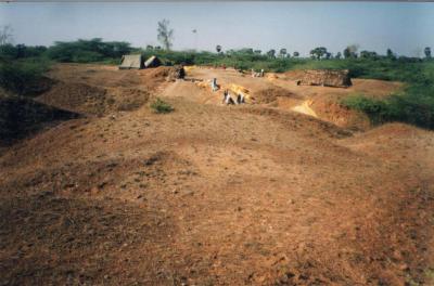 Stone Cutting Tools Link Early Humans to Prehistoric India (1 of 9)