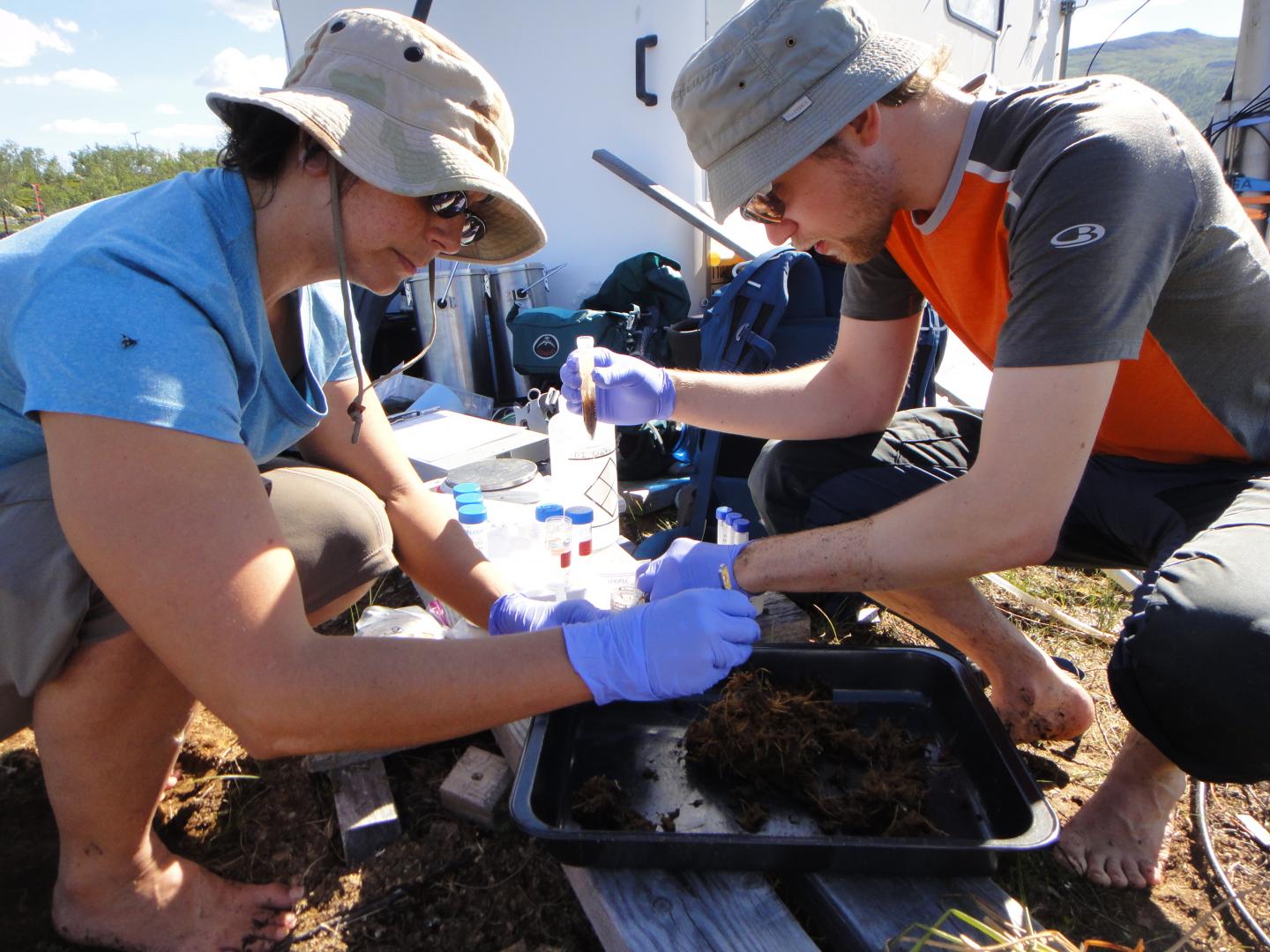 Understanding Soil Microbes' Genomes