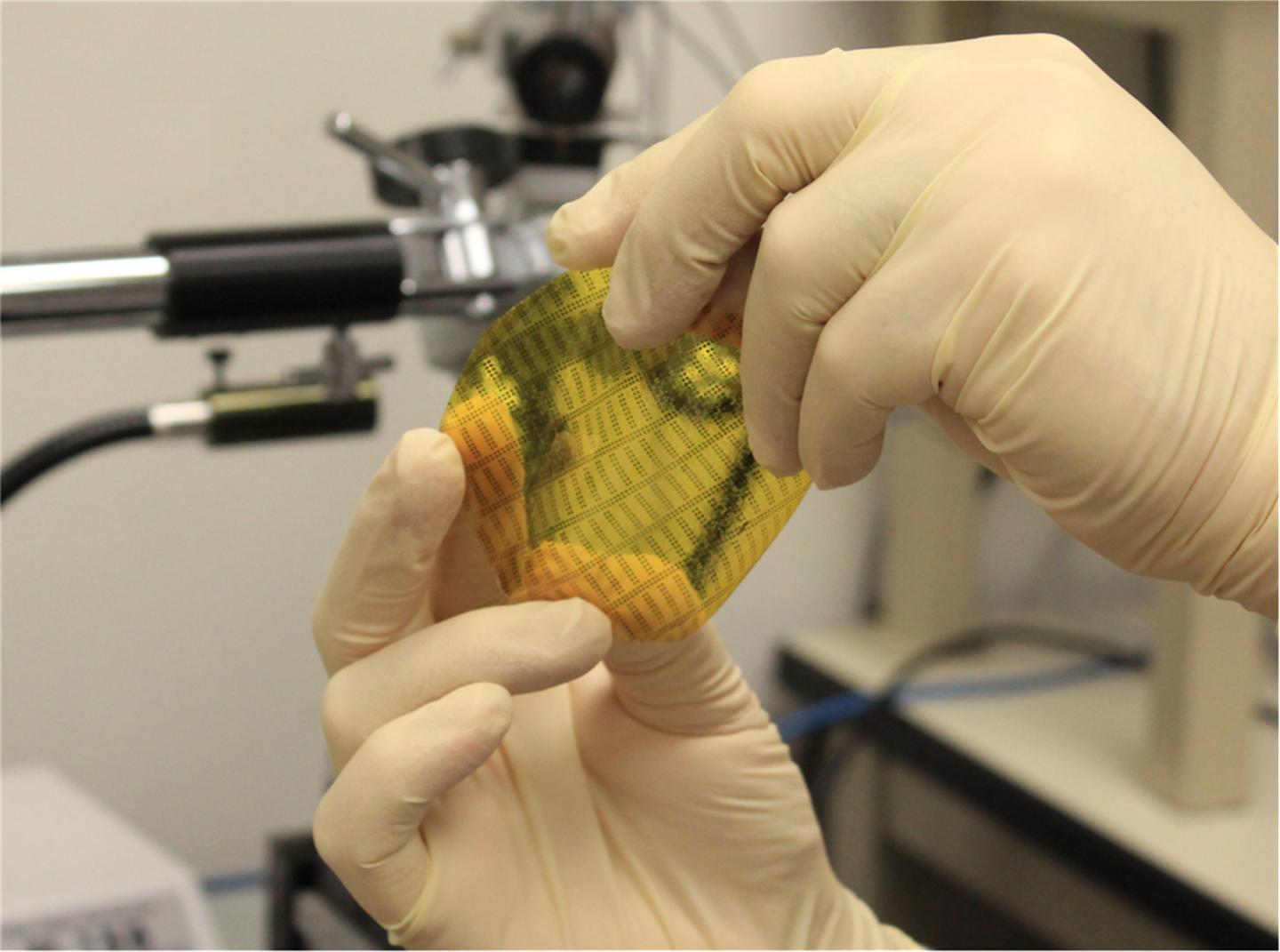 Smart Skin Technology [IMAGE] EurekAlert! Science News Releases