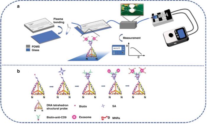 Working principle of the constructed μFMS for on-chip TDE capture and detection.