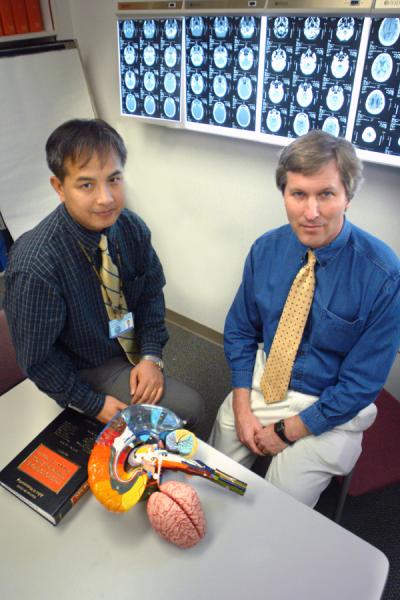 Stem cell transplants improve recovery in animal models for stroke, cerebral palsy