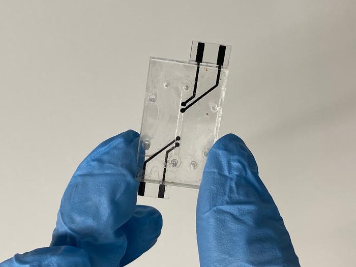 Screen printed electrodes for image eurekalert science news releases