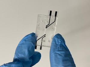 Screen Printed Electrodes For Measuring Endothelial Barrier Integrity