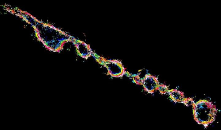 Syntaxin1A Molecules in a Neuron Exposed to Propofol.