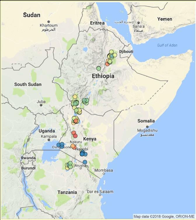 Fossil Sites in East Africa