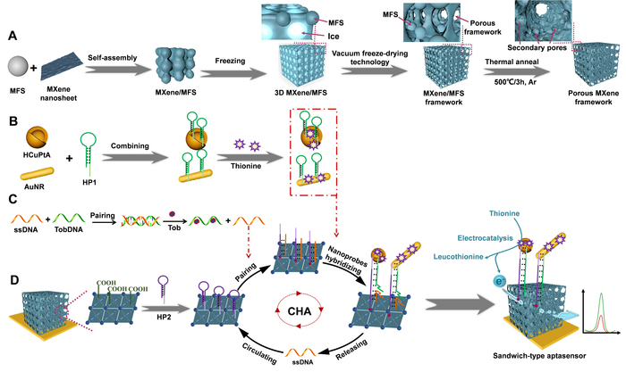 Novel Electrochemical Aptasensor Developed to Detect Thrombin in Serum