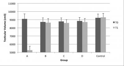 Testicular Bolume Before and After Ultrasound Treatment