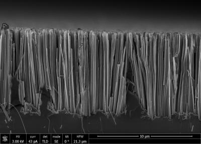 Silicon Nanowires