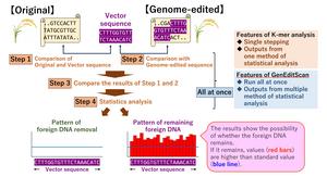 Comparison of novel (GenEditScan) and old methods for detecting foreign DNAs