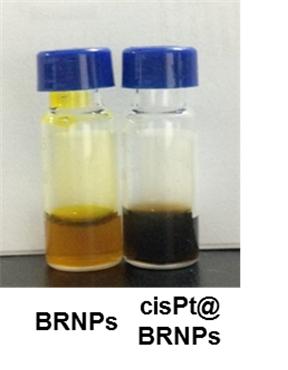 Bilirubin Nanoparticles