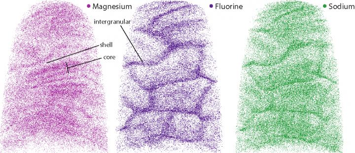 Distribution of Chemical Elements in Enamel Crystallites
