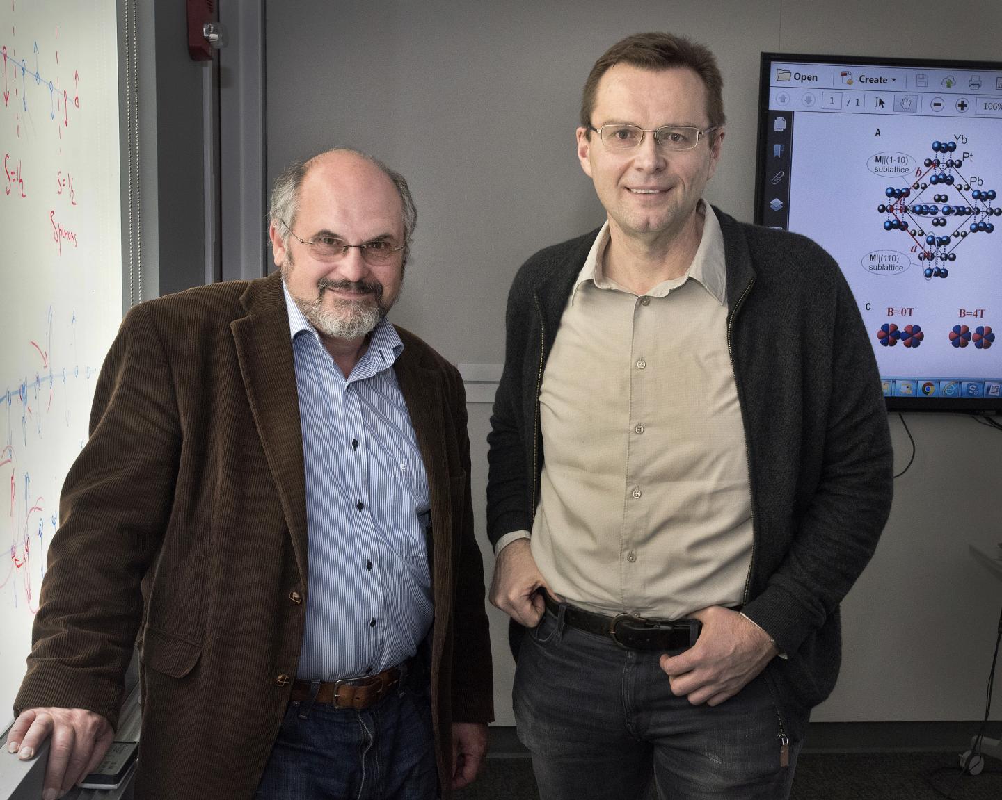 Alexei Tsvelik and Igor Zaliznyak, DOE/Brookhaven National Laboratory
