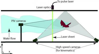 Experimental Setup (Side View)