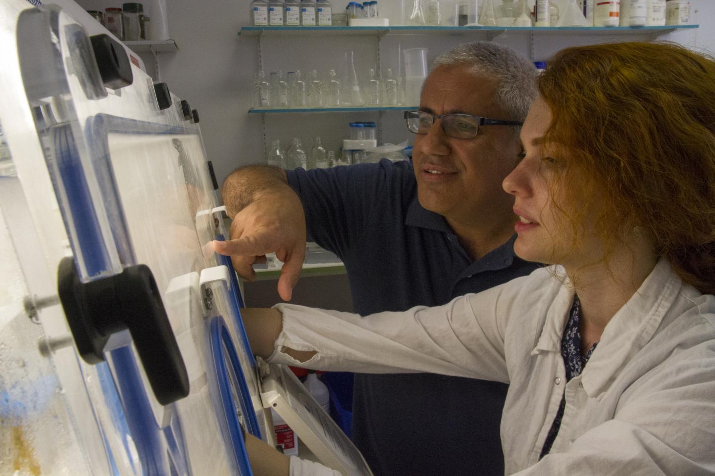 Dr. Ronen Hazan Tests a Sample at Hadassah Medical Center-Hebrew University of Jerusalem School