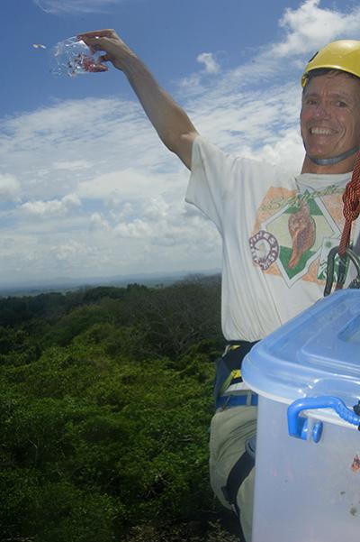 Casting Seeds Into the Air