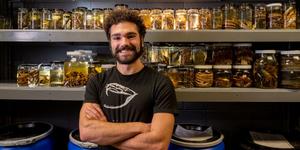 Gregory Pandelis, collections manager at UTA’s Amphibian and Reptile Diversity Research Center