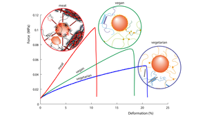 Fracture behavior and mouthfeel of meat-based, vegetarian, and vegan sausages become clearly apparent